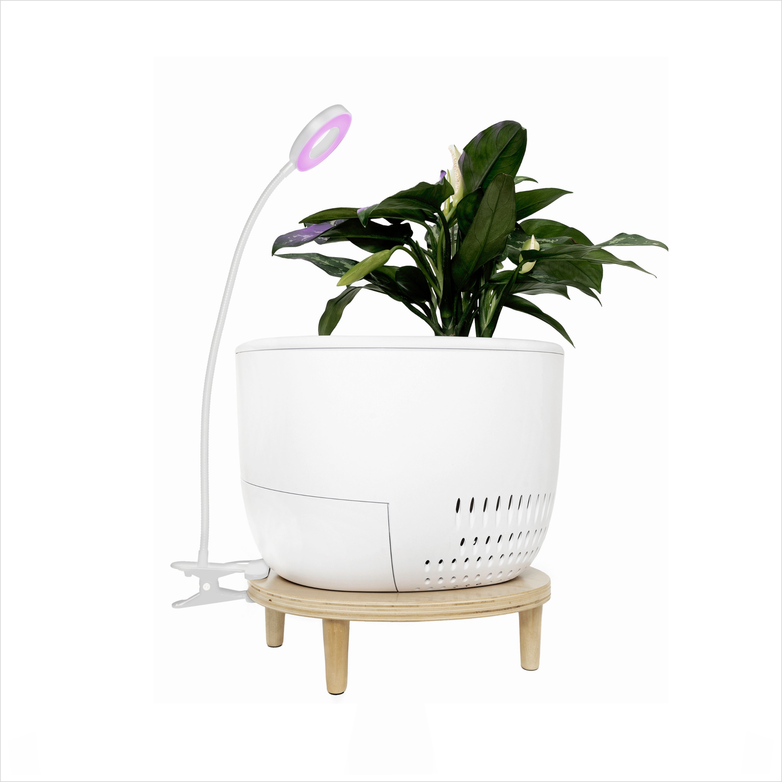 grow light for air plants Verta Nature Inspired Air Purifier