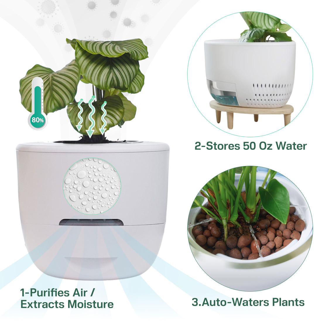 Verta®: Nature Inspired Air Purifier Powered by Plants