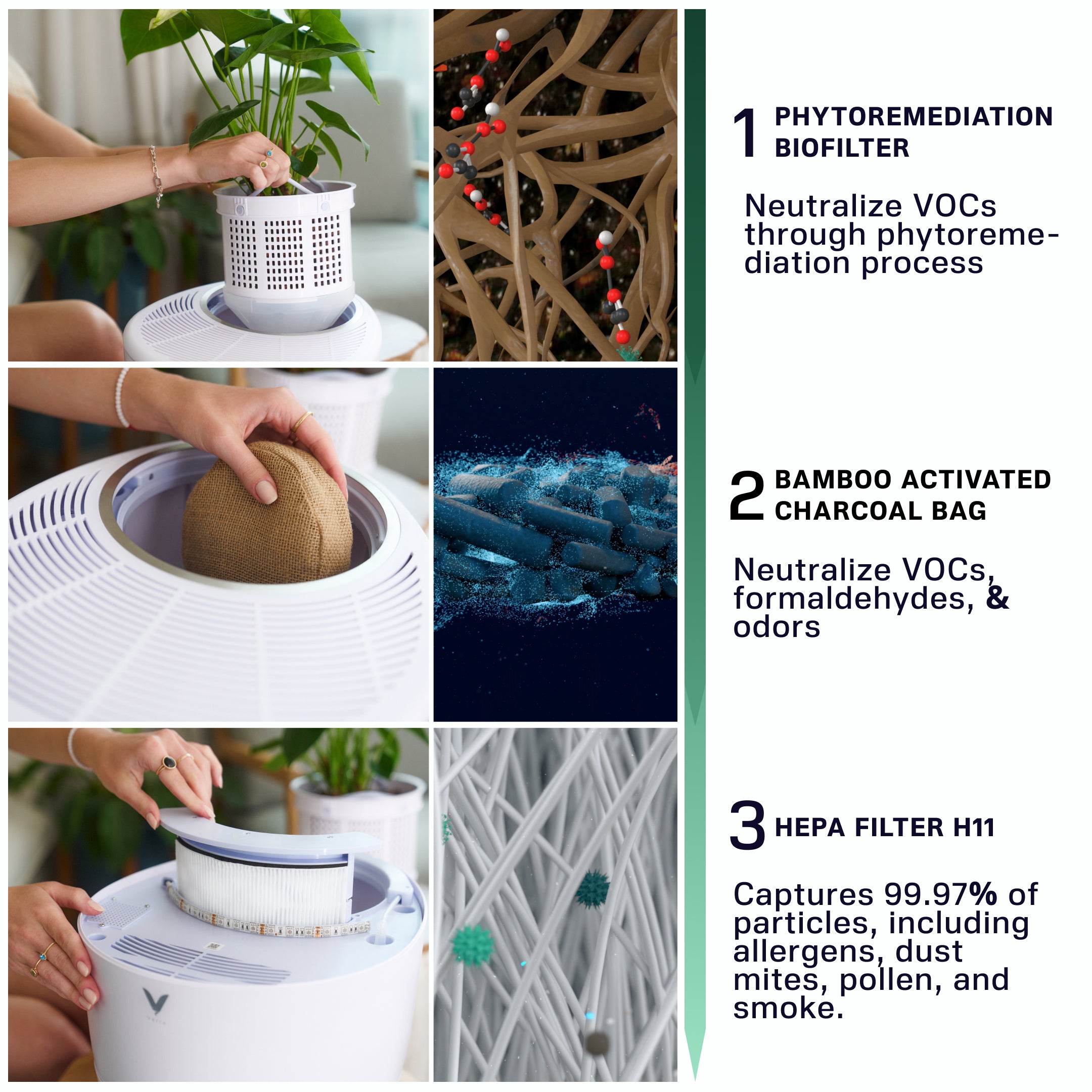 Verta®: Nature Inspired Air Purifier Powered by Plants