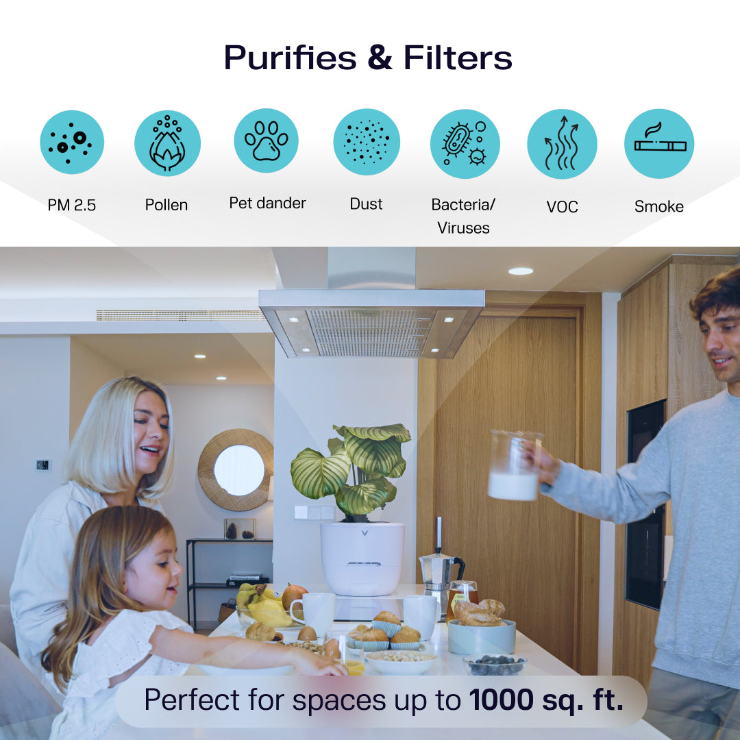 Verta®: Nature Inspired Air Purifier Powered by Plants