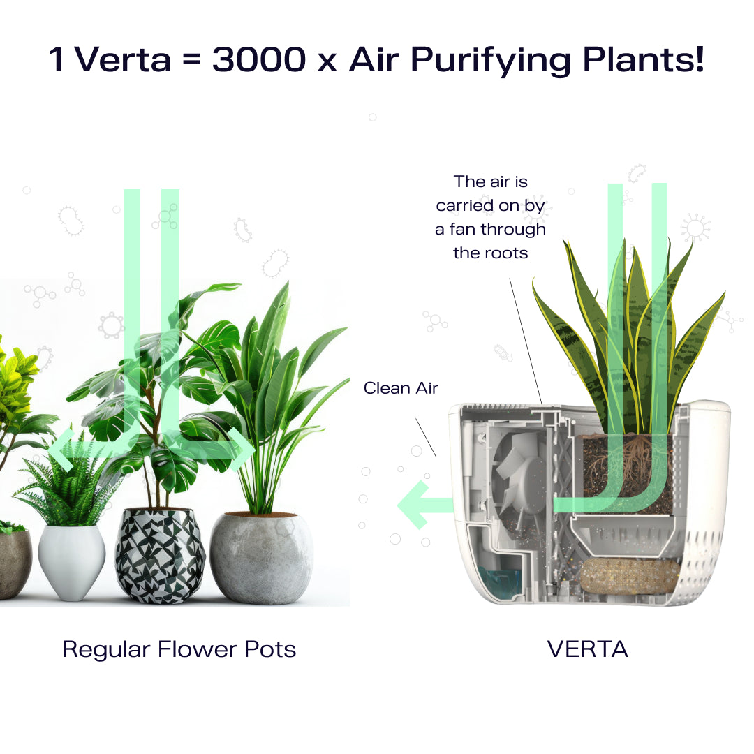 Verta®: Nature Inspired Air Purifier Powered by Plants