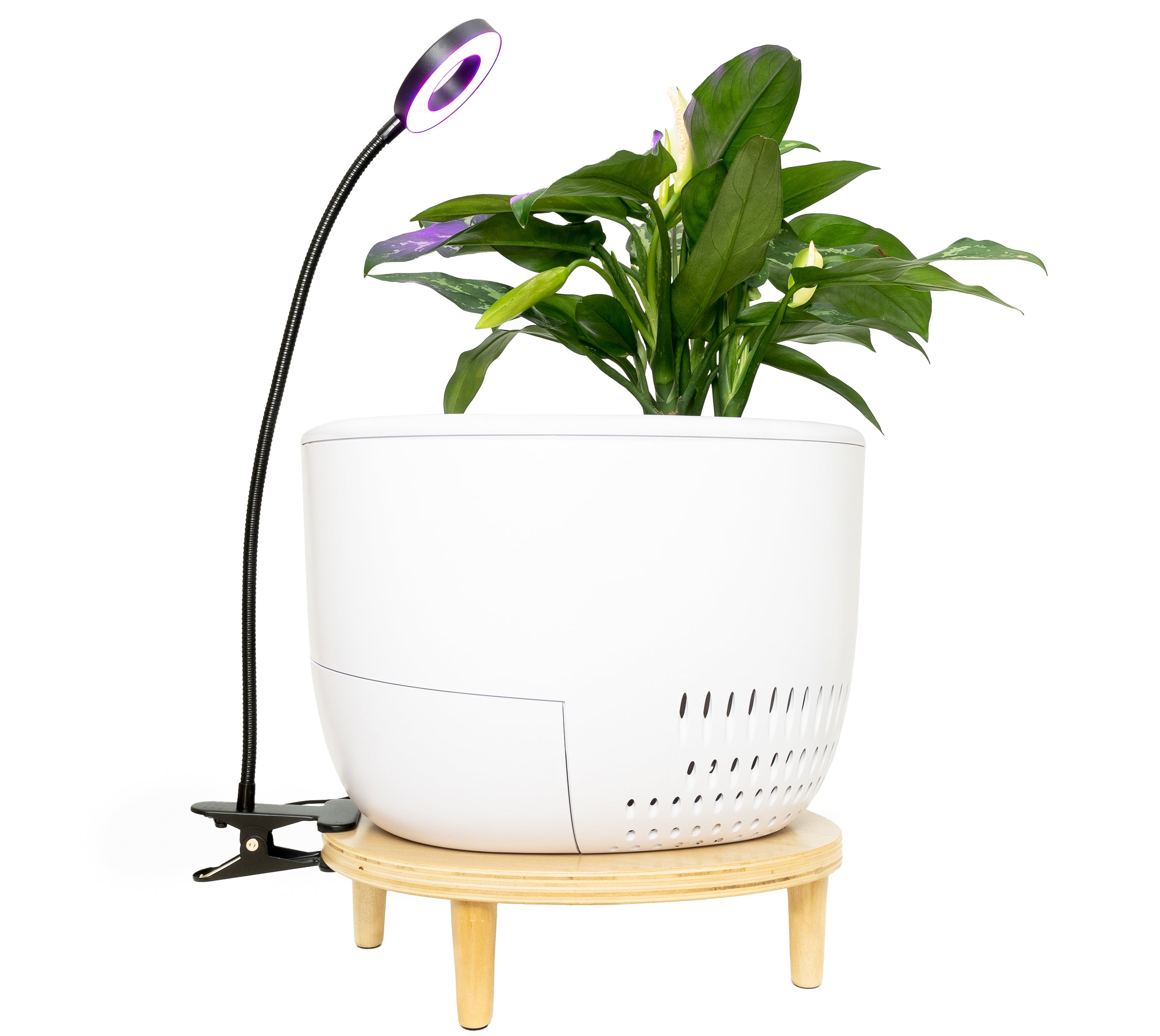 Verta® UVC Grow Light Lamp