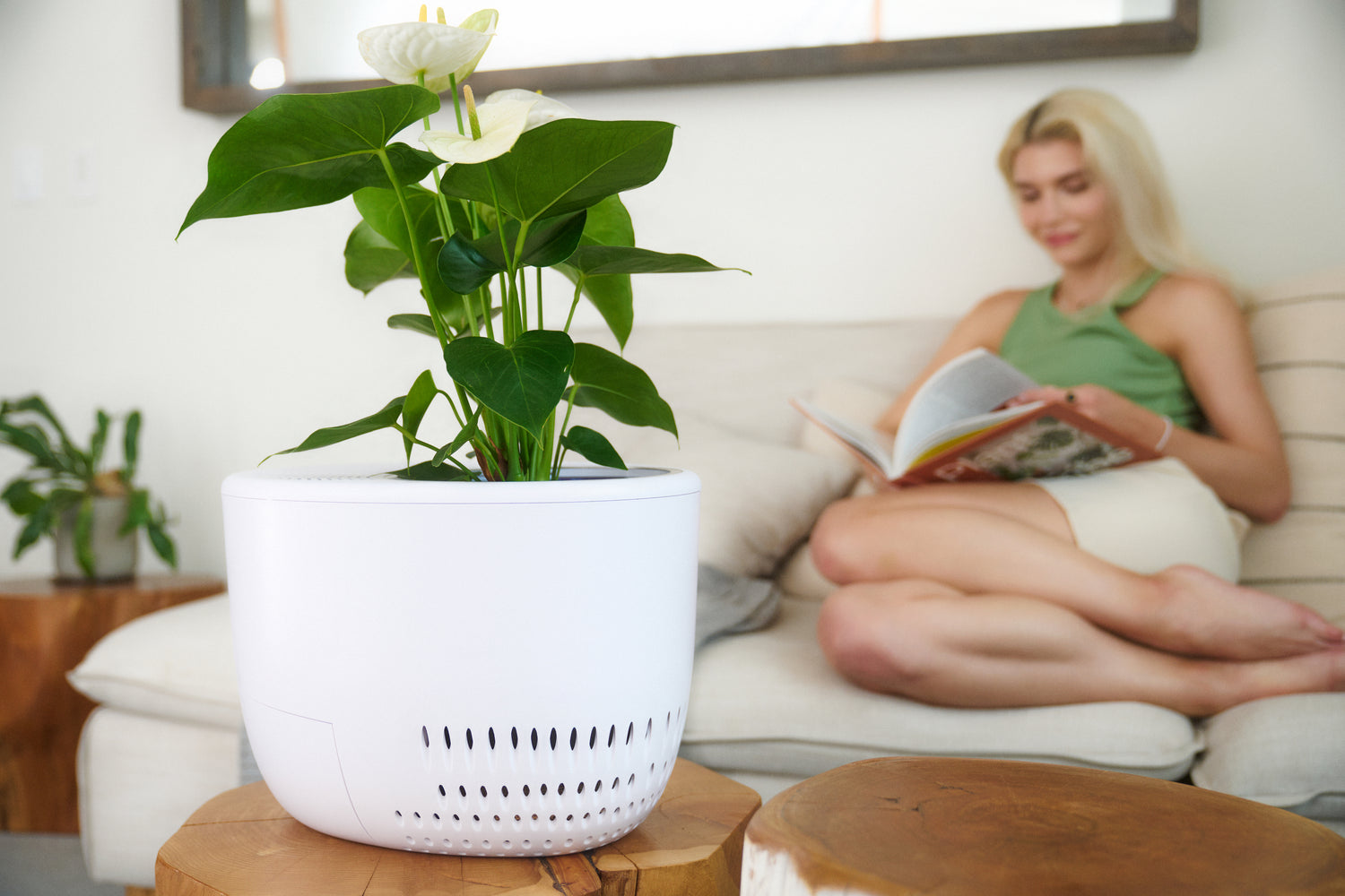 9 Reasons to Choose Verta Eco-Friendly and Nature-Inspired Air Purifier for a Healthier Home