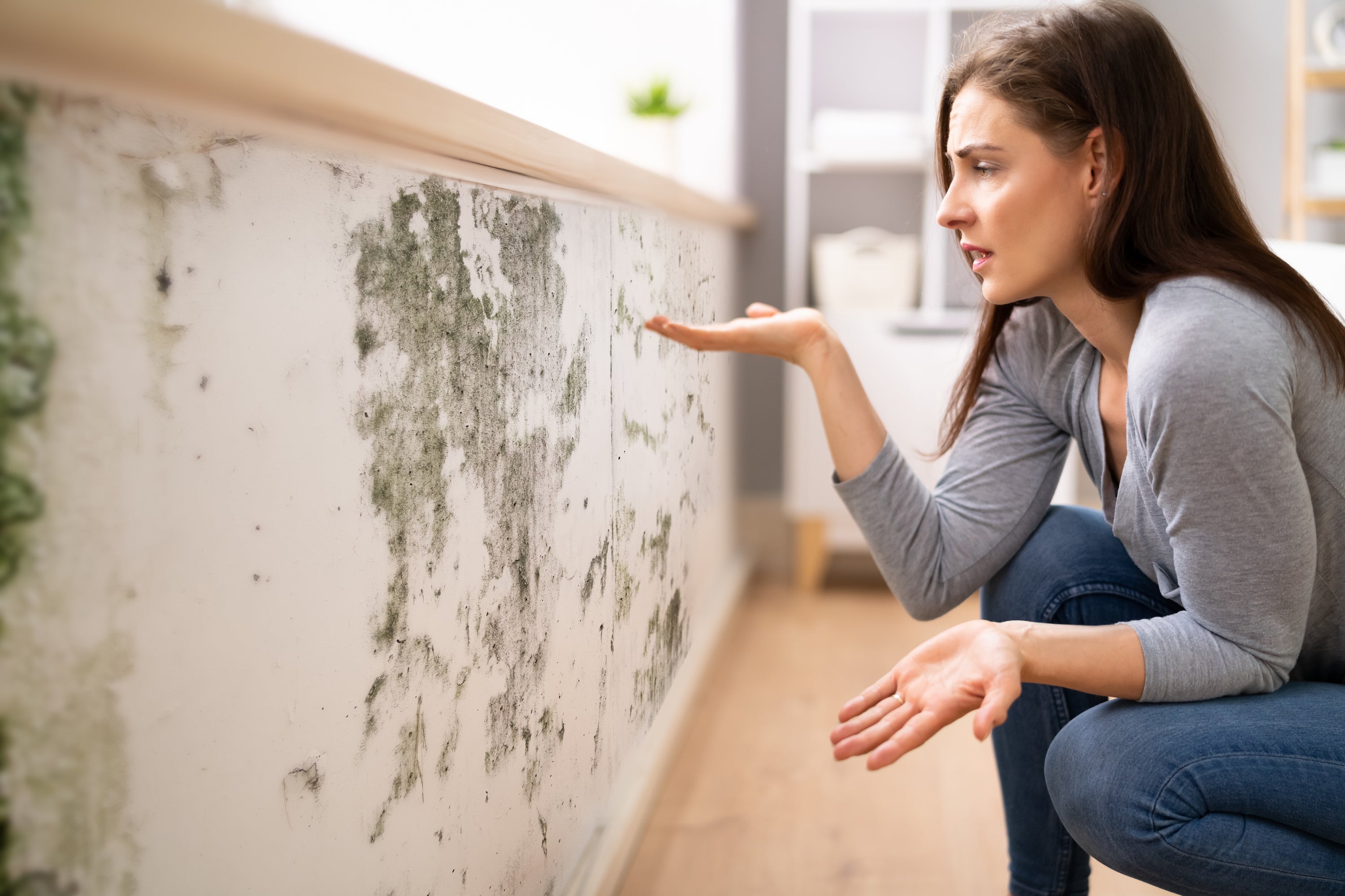 Woman inspecting mold growth on a wall, highlighting the negative impact of high humidity and the need for effective solutions.