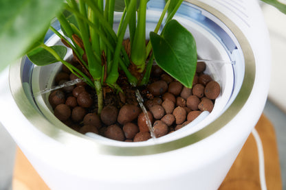 Verta Hydro Clay Balls 500 Grams
