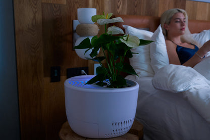 Customer enjoying white noise from Verta Natural Air Purifier, adjusting 7 LED mood lights for the perfect sleep ambiance.